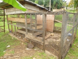 gabon,ali bongo,can 2012,sylvia bongo,michel ogandaga,libreville,paris,bénin,burkina faso,sénégal,cameroun