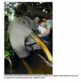 gabon,ali bongo,can 2012,sylvia bongo,michel ogandaga,libreville,paris,bénin,burkina faso,sénégal,cameroun