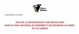 gabon,ali bongo,libreville,paris,france,bénin,sénégal,cameroun,congo,togo,mali,centrafique