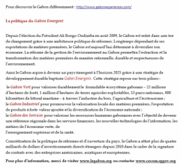 gabon,ali bongo,can 2012,sylvia bongo,michel ogandaga,libreville,paris,bénin,burkina faso,sénégal,cameroun