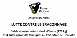 gabon,ali bongo,libreville,paris,france,bénin,sénégal,cameroun,congo,togo,mali,centrafique