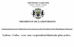 gabon,ali bongo,can 2012,sylvia bongo,michel ogandaga,libreville,paris,bénin,burkina faso,sénégal,cameroun