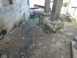 gabon,ali bongo,can 2012,sylvia bongo,michel ogandaga,libreville,paris,bénin,burkina faso,sénégal,cameroun