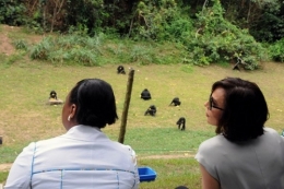 gabon,ali bongo,can 2012,sylvia bongo,michel ogandaga,libreville,paris,bénin,burkina faso,sénégal,cameroun
