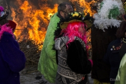 carnaval_8.jpg