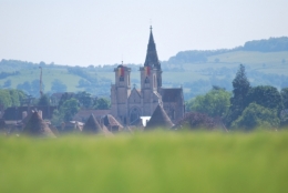 DSC_2919.JPG