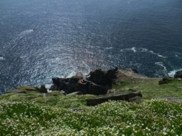 P1010643.JPG