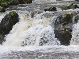 CSC_3102.JPG