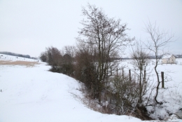 IMG_4844.jpg