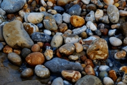 galets sur plage d'Ambleteuse.jpg