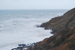DSC_2011.JPG