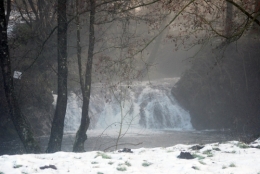 DSC_0470.JPG