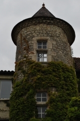 111.JPG