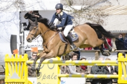 saut3.jpg