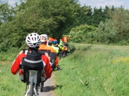CSC_3196.JPG