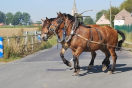 DSC_3743.JPG