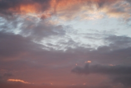 DSC_3145.JPG