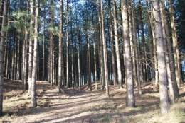 DSC_2144.JPG