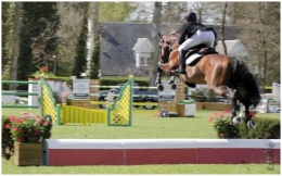 SAUT12.jpg