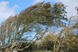 DSC_3843.JPG