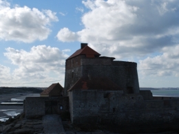CSC_3912.JPG