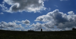 146.JPG