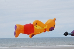DSC_2246.JPG