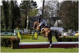SAUT13.jpg