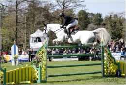 saut6.jpg