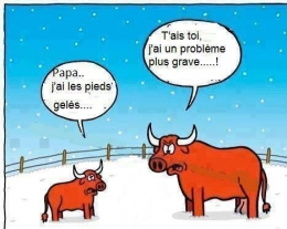 humour2.jpg