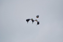 DSC_2243.JPG