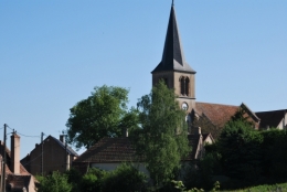 DSC_2911.JPG