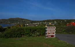 865.JPG