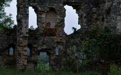 113.JPG