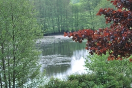 DSC_2971.JPG