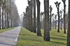 DSC_2248.JPG