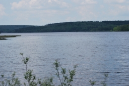 DSC_3089.JPG