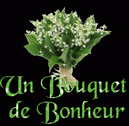 1RT MAI.gif