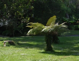 892.JPG