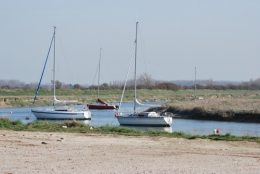 DSC_2245.JPG