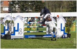 SAUT16.jpg