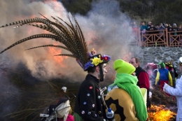 plumes.jpg