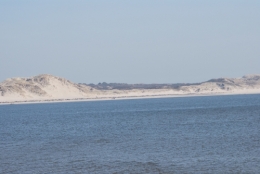 DSC_2239.JPG