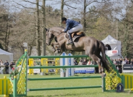 SAUT15.jpg
