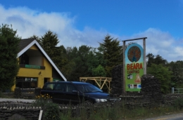 559.JPG