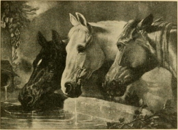 Temperance Society_pro_13577_.jpg