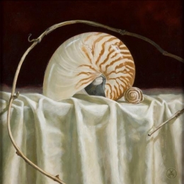 Nautilus _ Grapevine_859.jpg