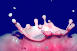 4.png