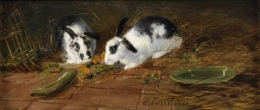 Rabbits.jpg