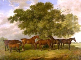 The Theobald Stud.jpg